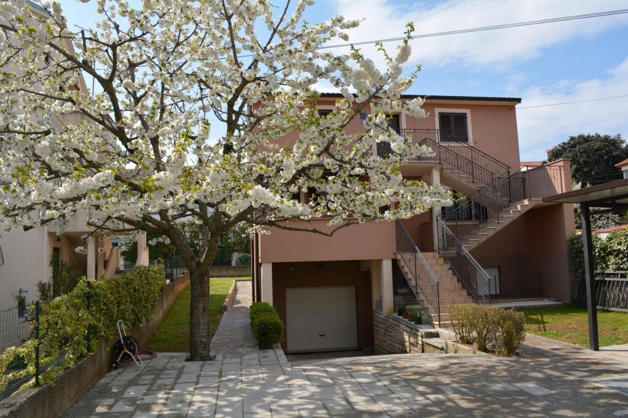 Apartments Denis & Lucija ロヴィニ エクステリア 写真